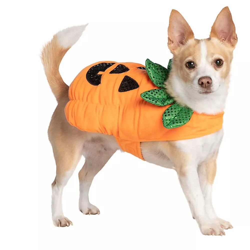 Thrills & Chills - Dog Pumpkin Halloween Costume - Size L
